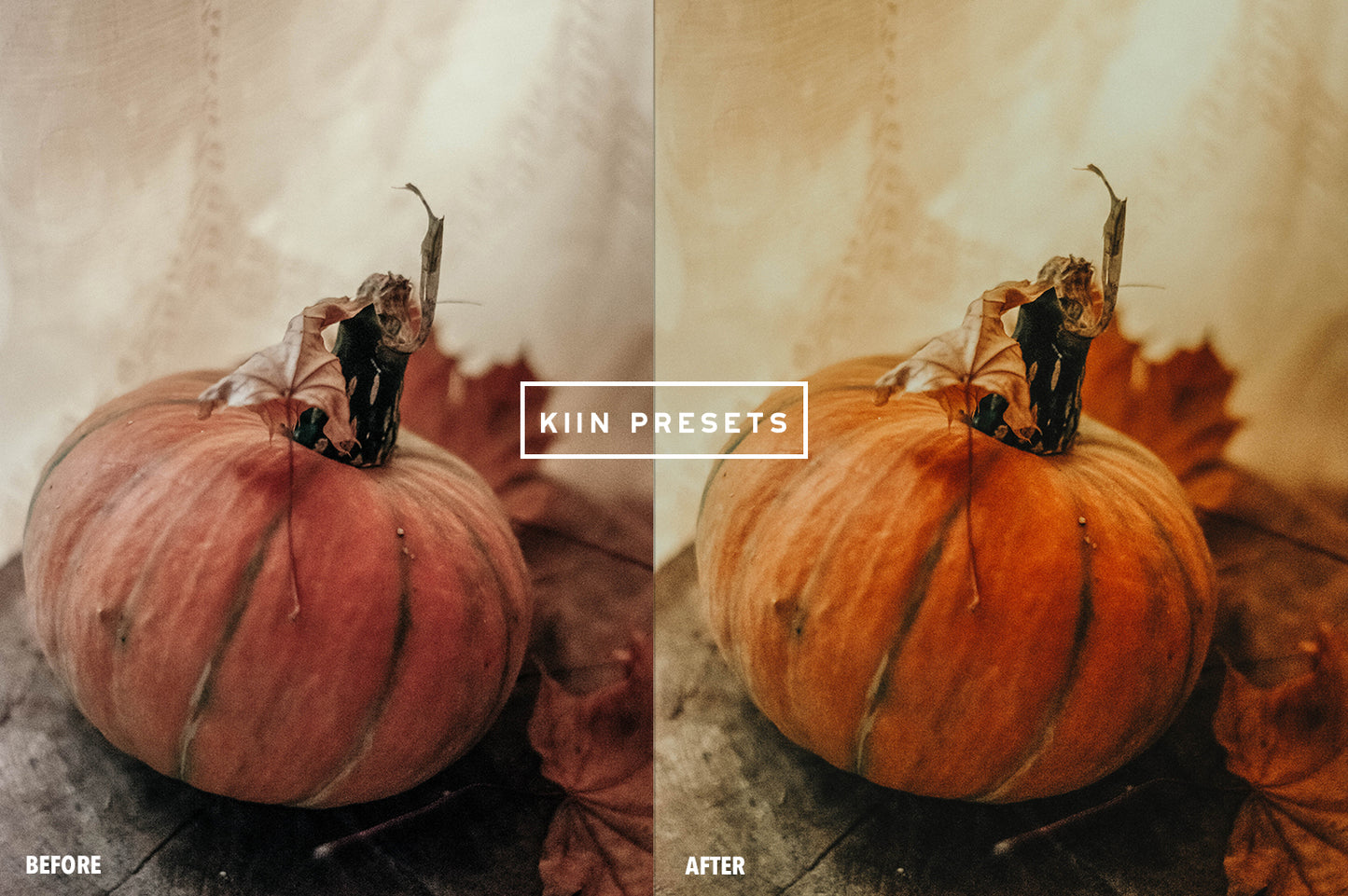 10 FALL FILM LIGHTROOM MOBILE & DESKTOP PRESETS