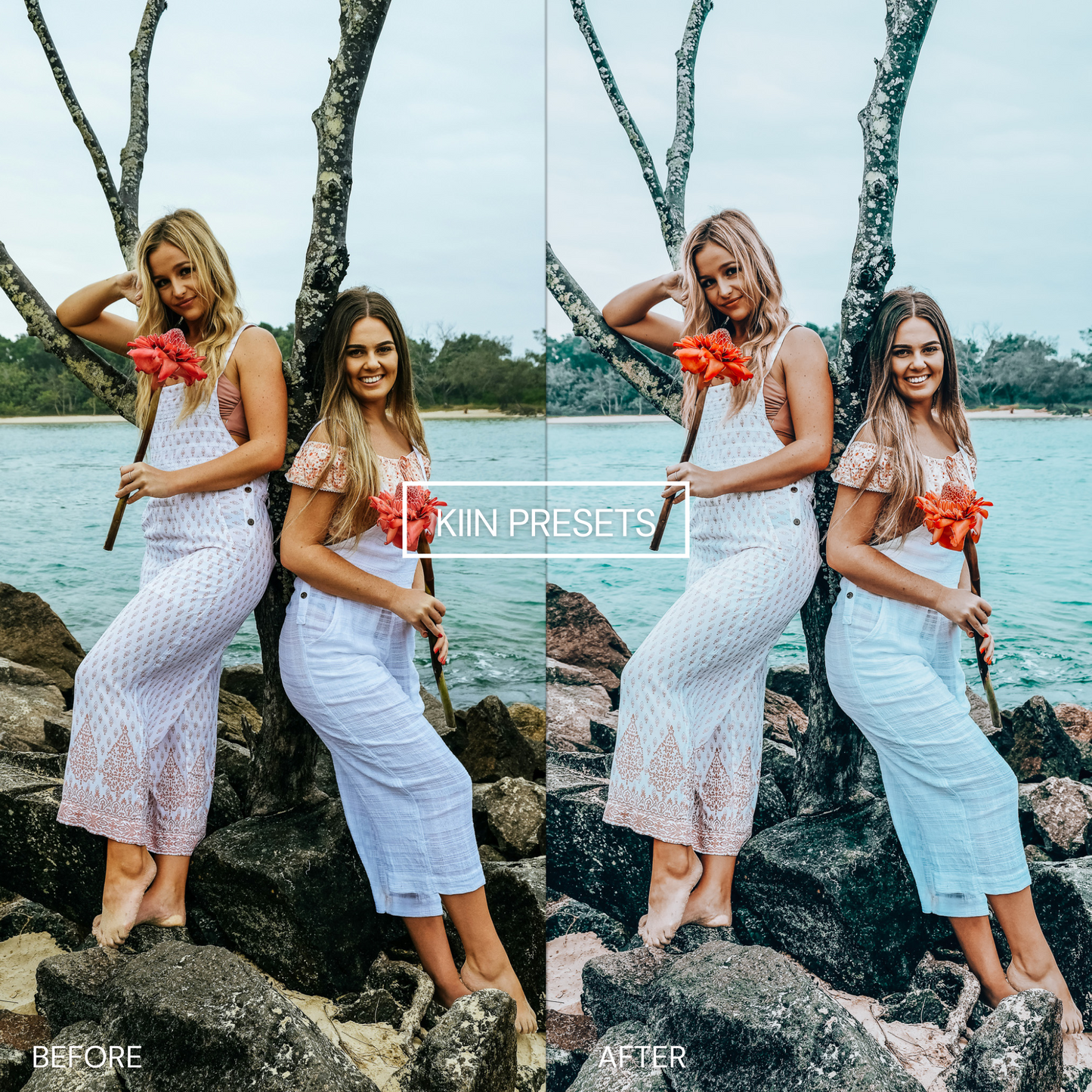 12 INFLUENCER LIGHTROOM PRESETS