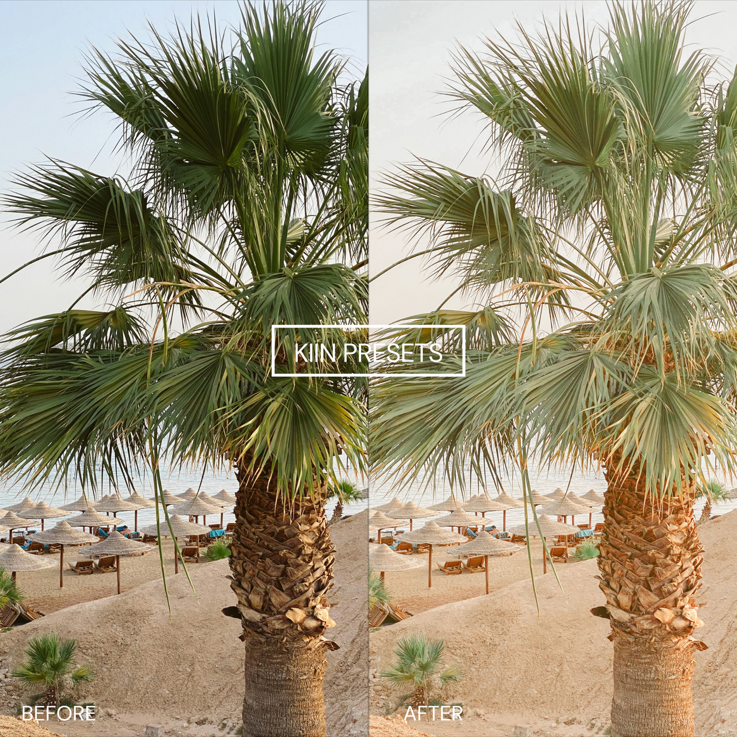 20 PASTEL LIGHTROOM MOBILE & DESKTOP PRESETS