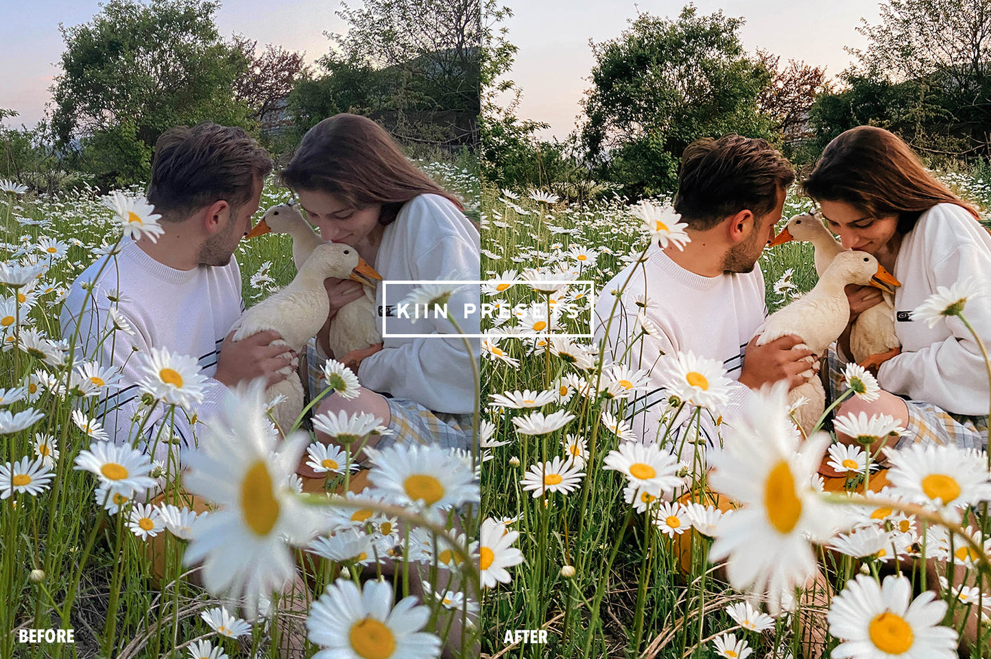 10 ENGLISH GARDEN LIGHTROOM MOBILE PRESETS