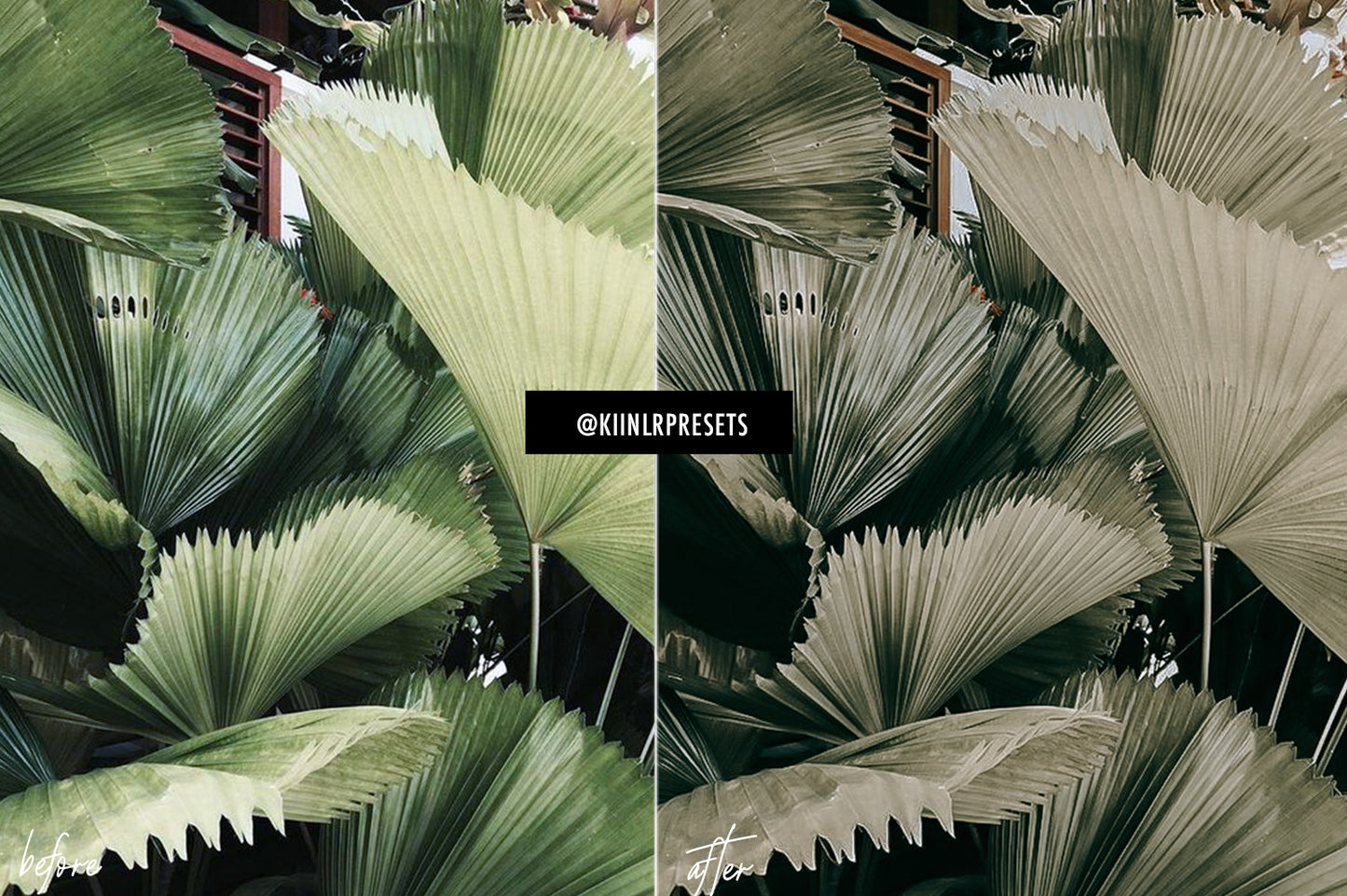 5 LIFESTYLE LIGHTROOM MOBILE & DESKTOP PRESETS - KIIN LIGHTROOM PRESETS