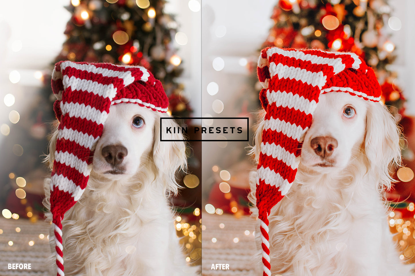 10 CHRISTMAS LIGHTROOM MOBILE & DESKTOP PRESETS