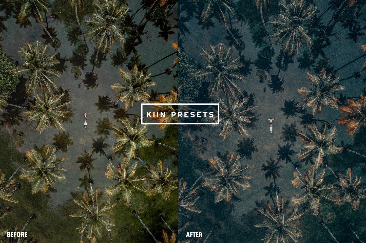 10 ENVY LIGHTROOM MOBILE & DESKTOP PRESETS