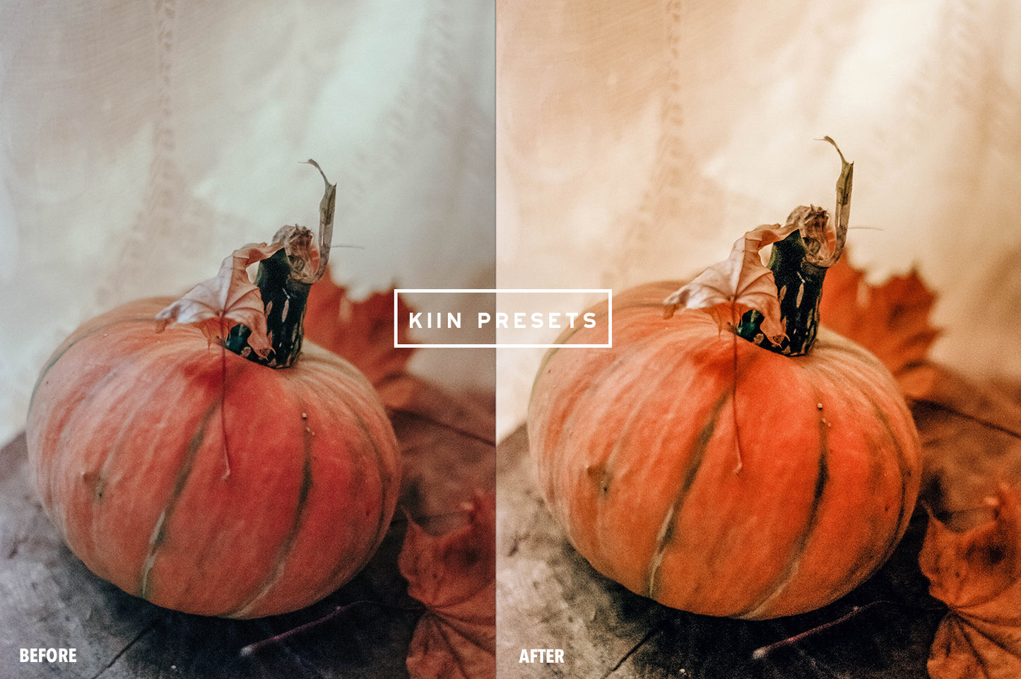 10 OCTOBER LIGHTROOM MOBILE & DESKTOP PRESETS