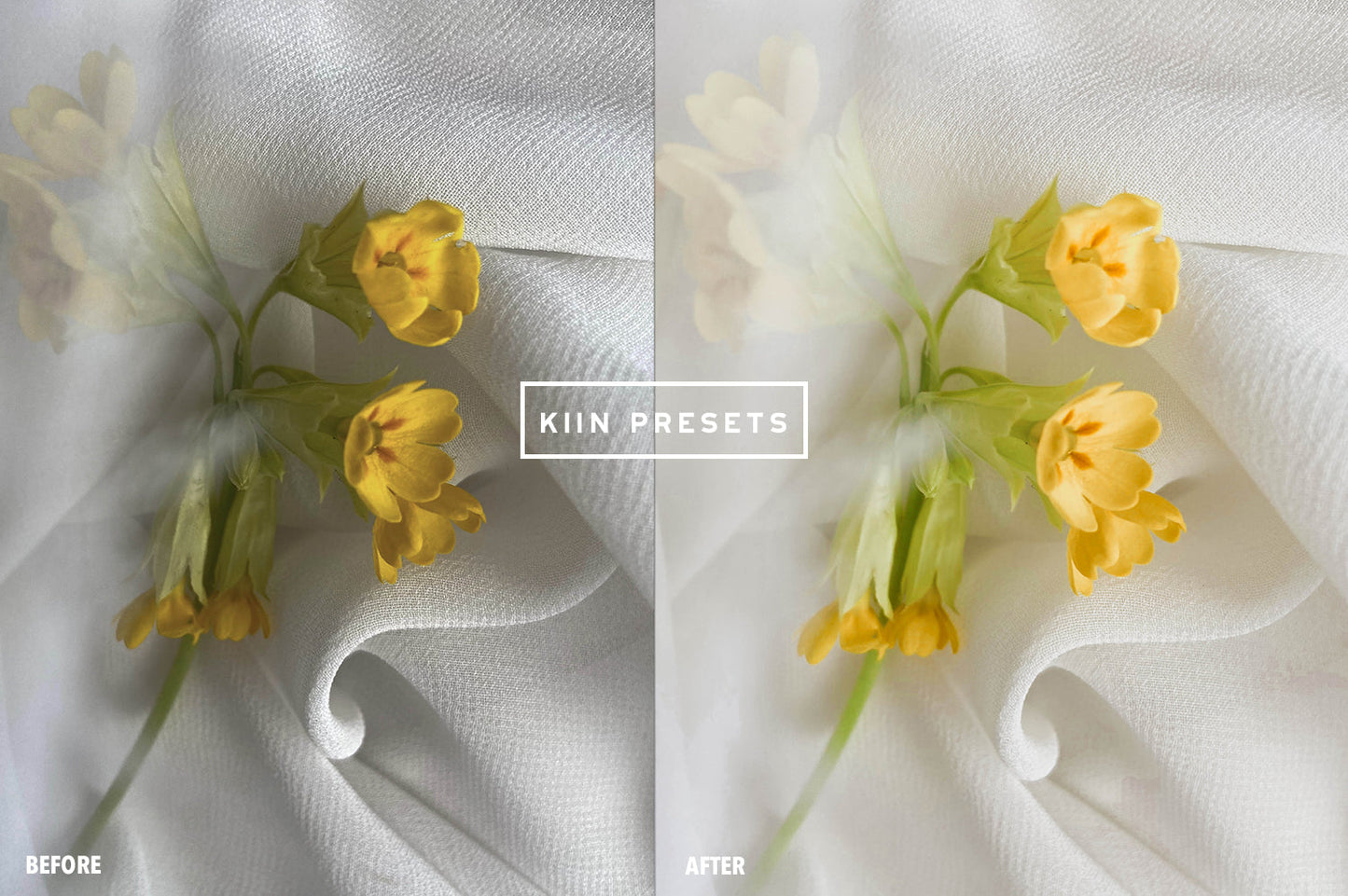 10 MEADOW LIGHTROOM MOBILE PRESETS