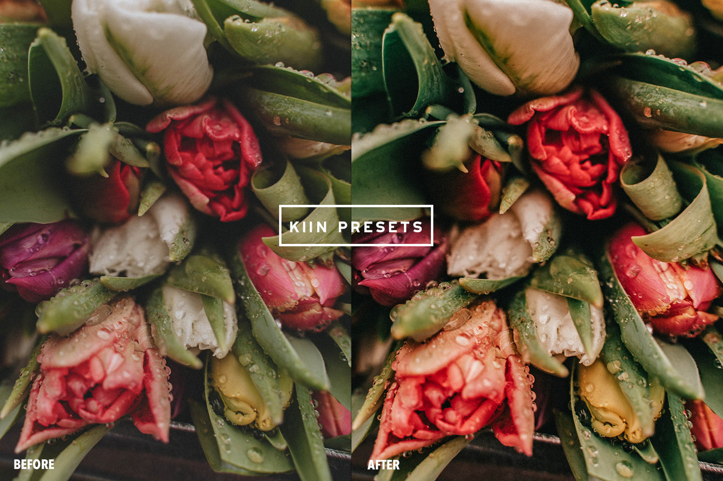 10 ENGLISH GARDEN LIGHTROOM MOBILE PRESETS