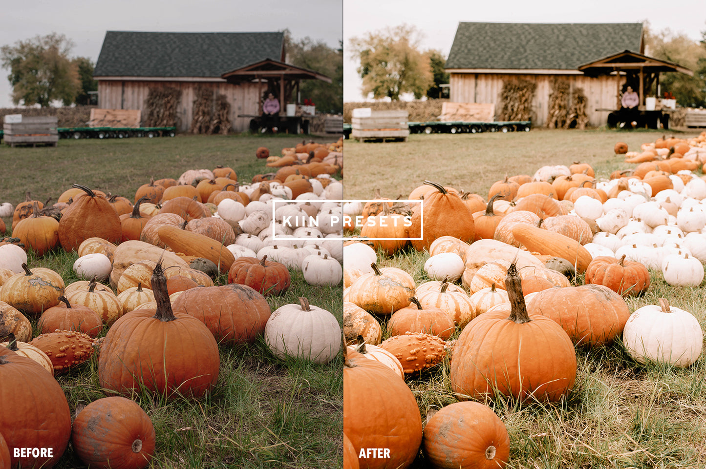 10 PUMPKIN LIGHTROOM MOBILE & DESKTOP PRESETS