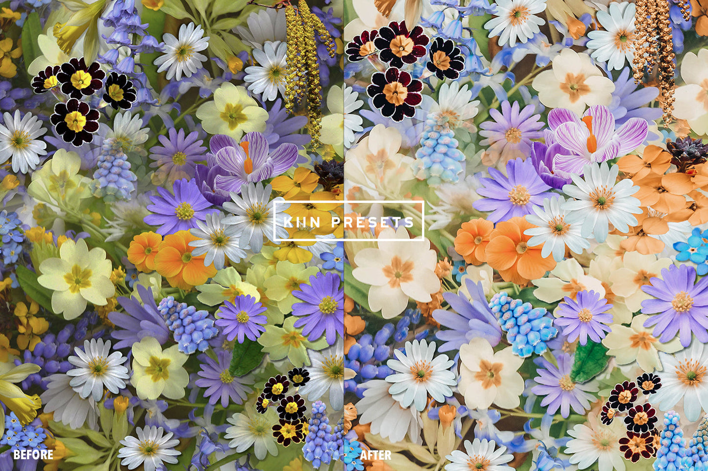10 BLOOM LIGHTROOM MOBILE PRESETS