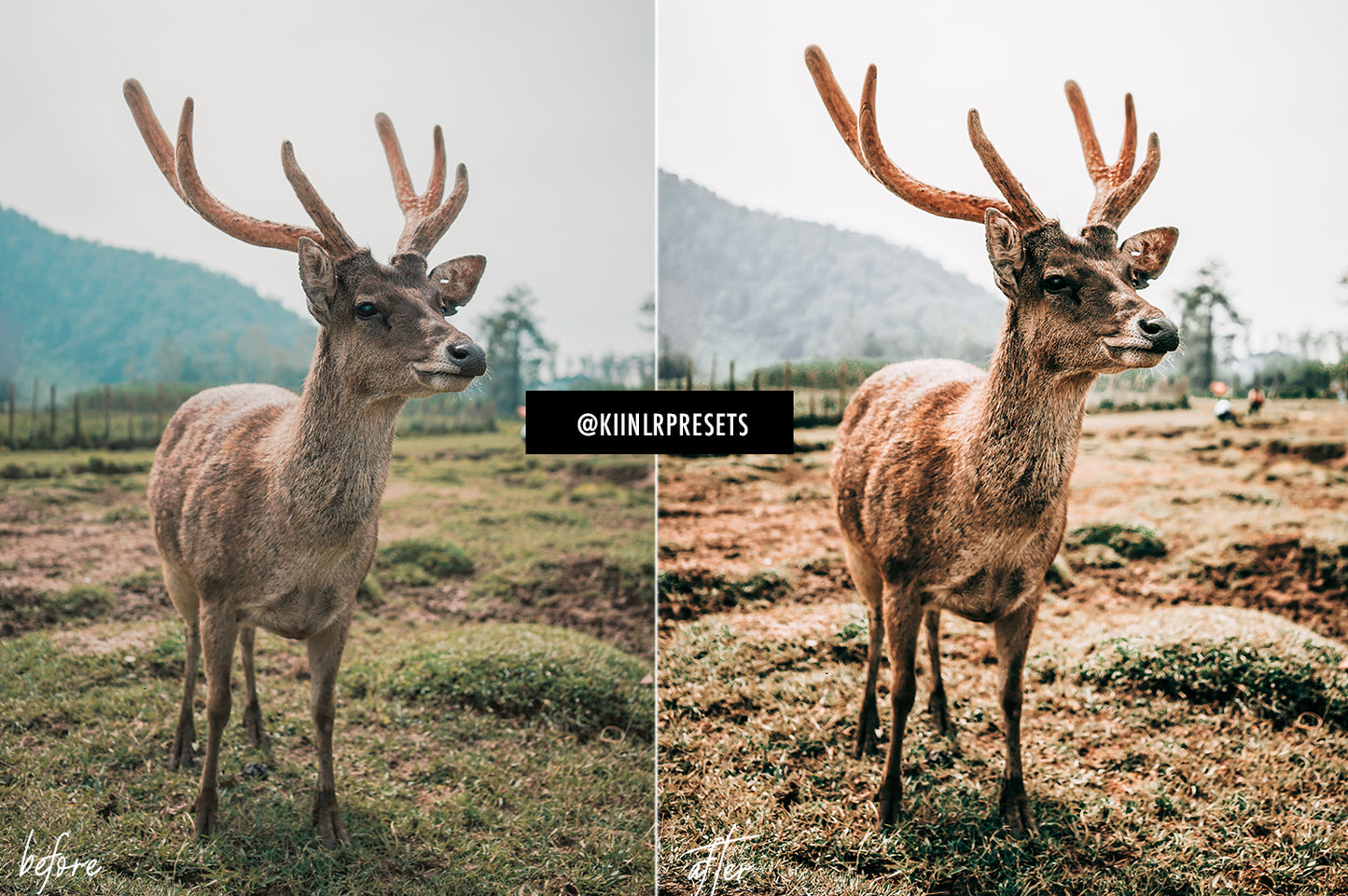 HOME, SWEET HOME LIGHTROOM MOBILE PRESETS - KIIN LIGHTROOM PRESETS