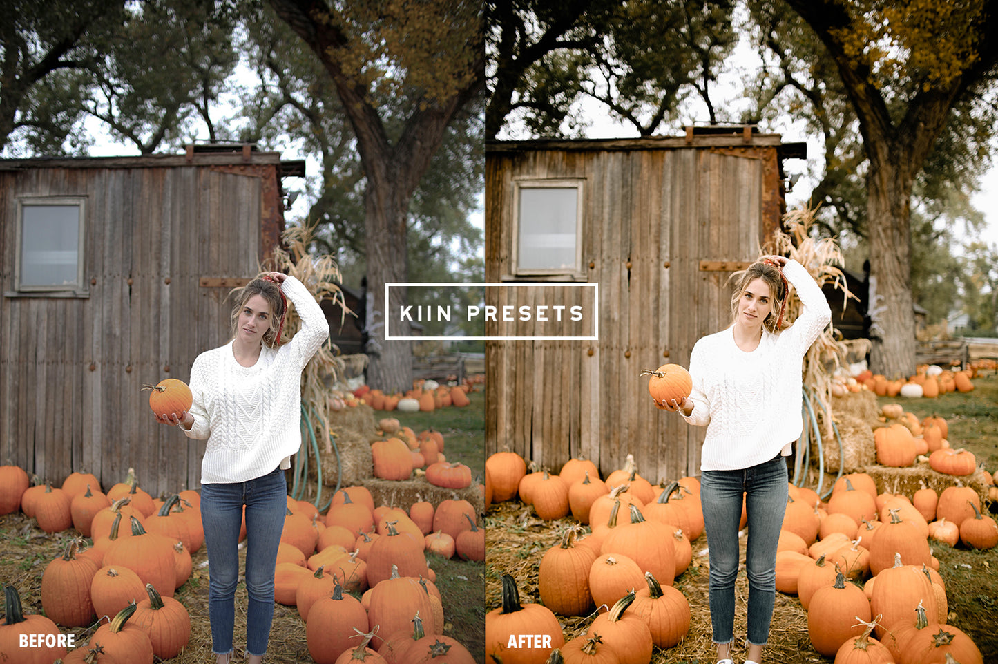 10 PUMPKIN LIGHTROOM MOBILE & DESKTOP PRESETS