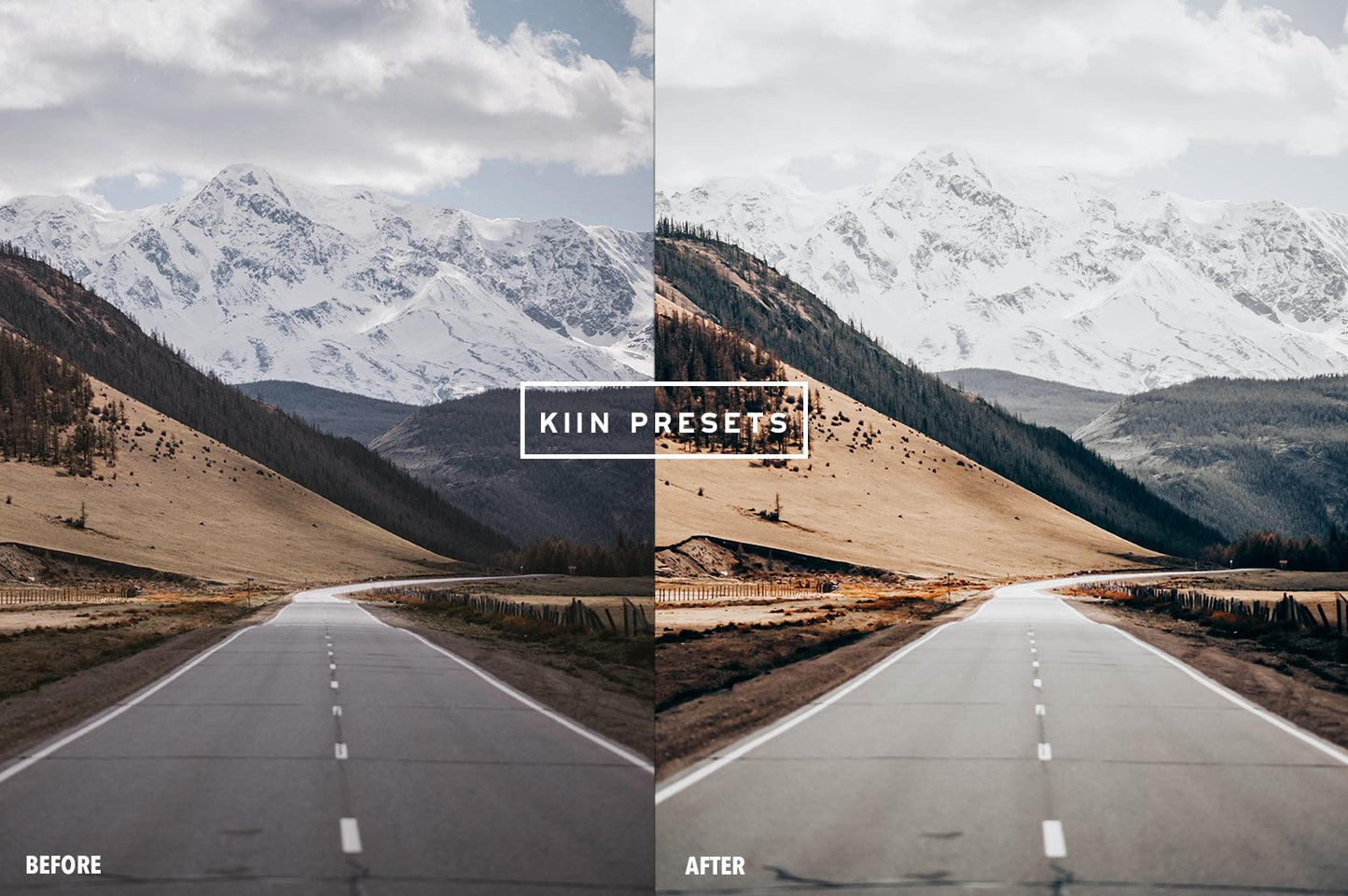 10 NOEL LIGHTROOM MOBILE PRESETS