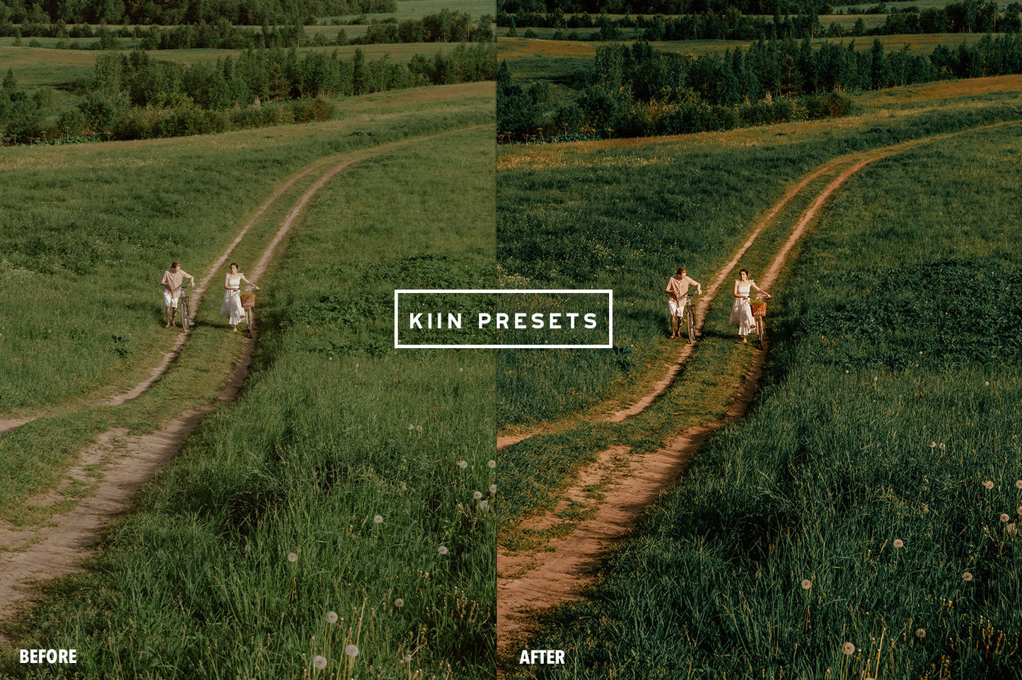 10 ENGLISH GARDEN LIGHTROOM MOBILE PRESETS