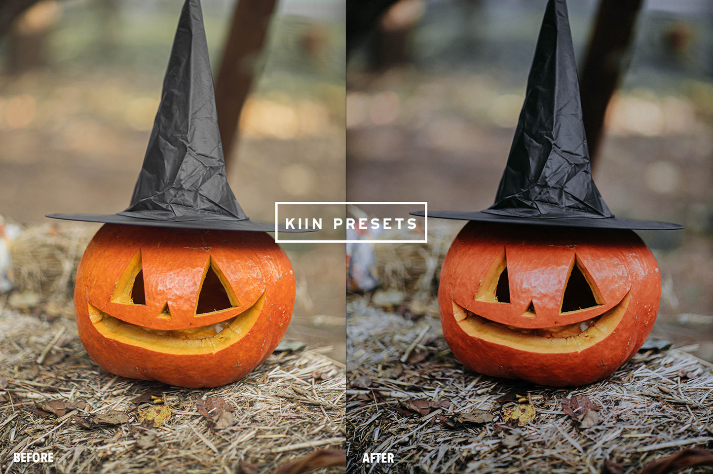 10 HALLOWEEN LIGHTROOM MOBILE & DESKTOP PRESETS