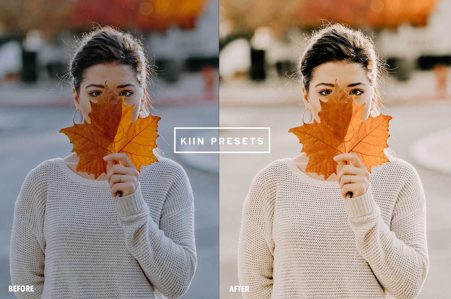 10 PUMPKIN LIGHTROOM MOBILE & DESKTOP PRESETS