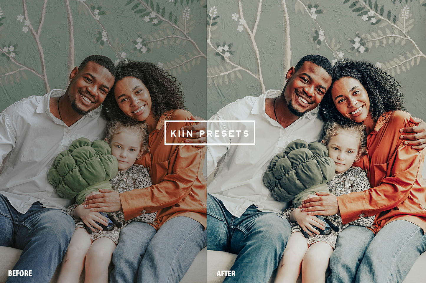 10 FAMILY LIGHTROOM MOBILE & DESKTOP PRESETS