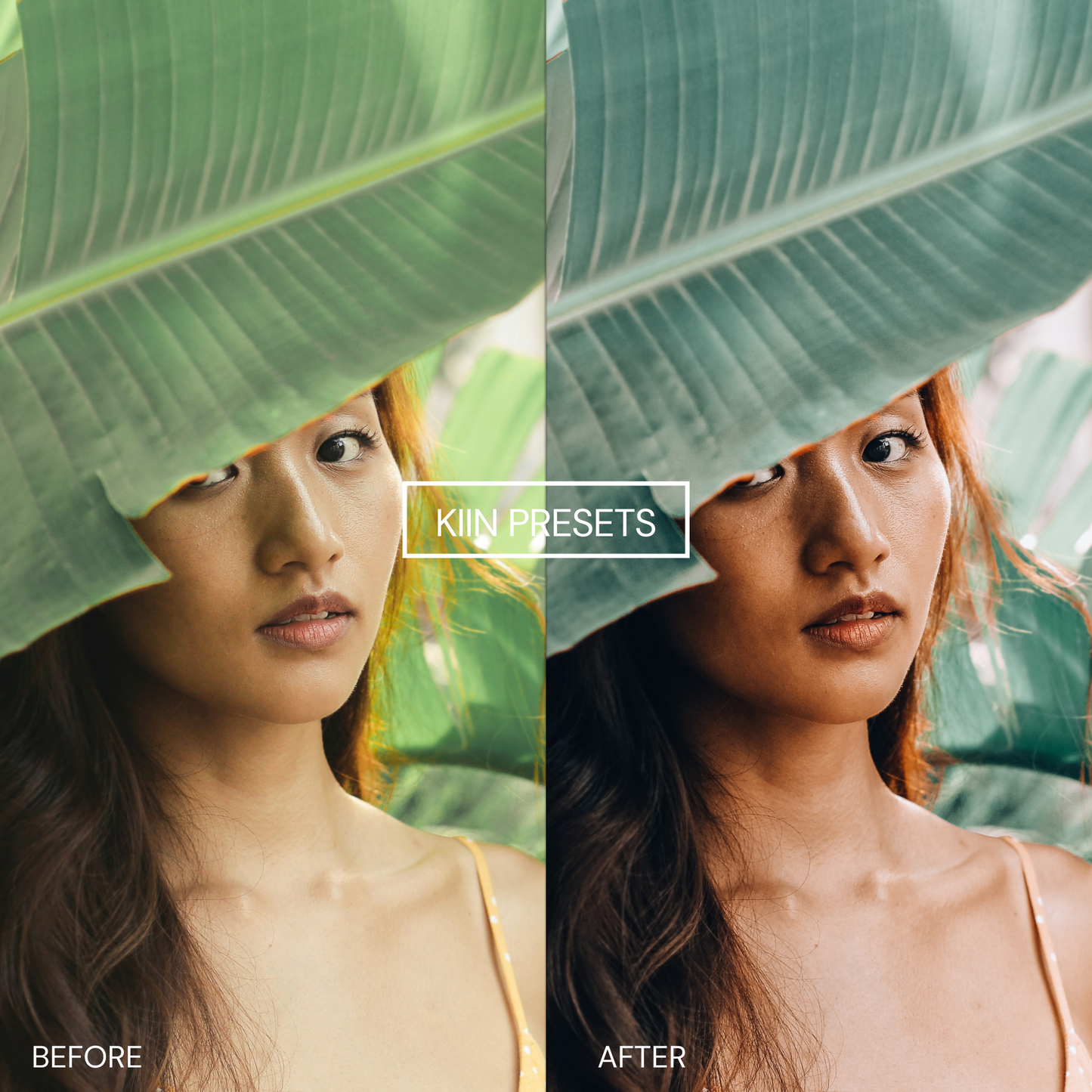 10 MALIBU BLOGGER LIGHTROOM PRESETS