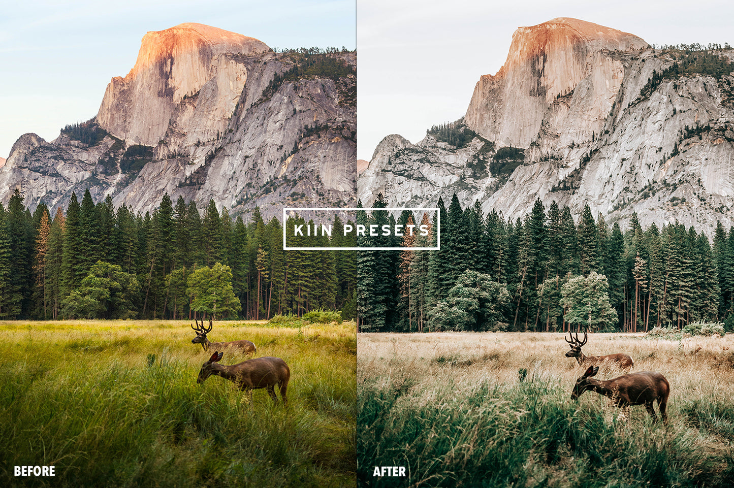 10 WANDERLUST LIGHTROOM PRESETS