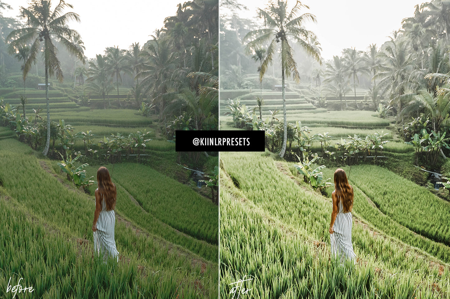 10 MATCHA LIGHTROOM MOBILE & DESKTOP PRESETS - KIIN LIGHTROOM PRESETS