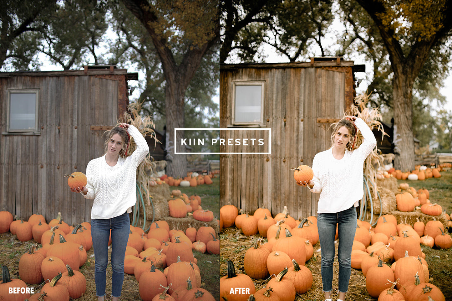 10 PUMPKIN LIGHTROOM MOBILE PRESETS