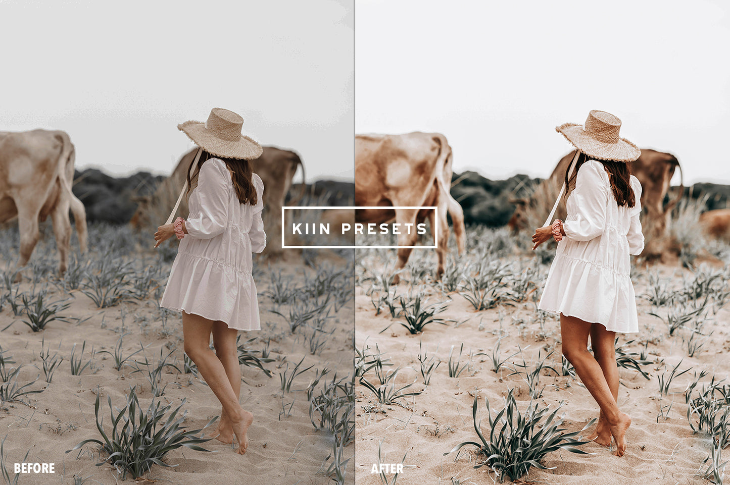 10 WANDERLUST LIGHTROOM PRESETS